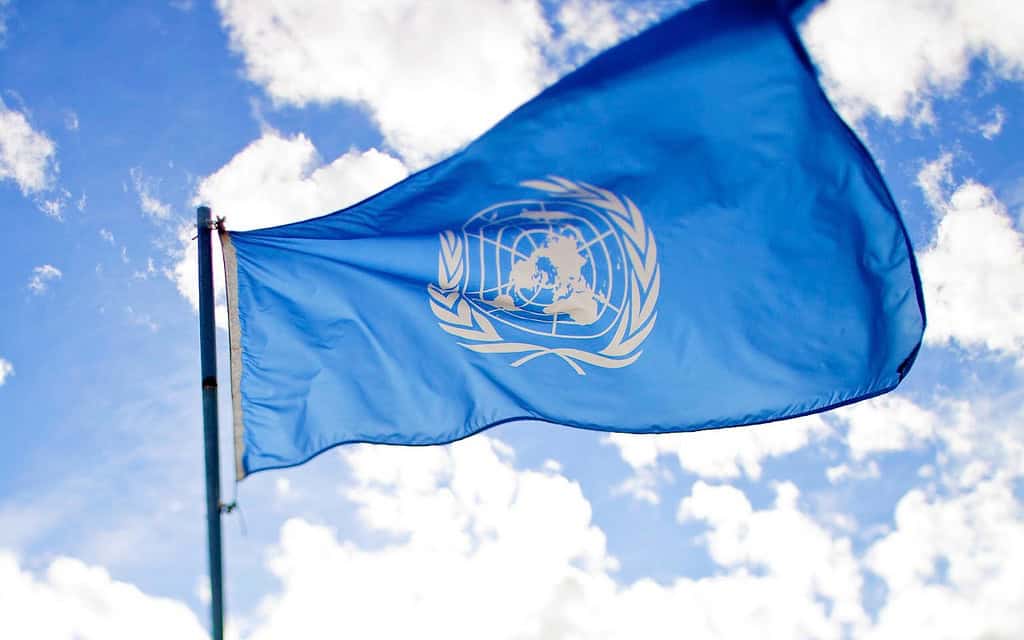 Input to CERD General Recommendation on Reparations - The Repair Campaign